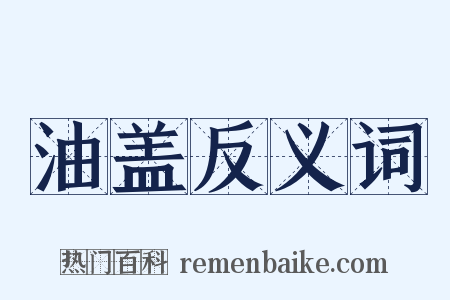 油盖反义词是什么意思的图片
